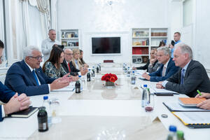 Mandić: Imaćemo u oktobru glasanje za sudije Ustavnog suda