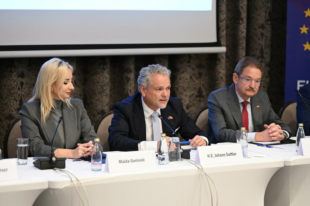 Gorčević, Satler i Felten, Foto: MEP