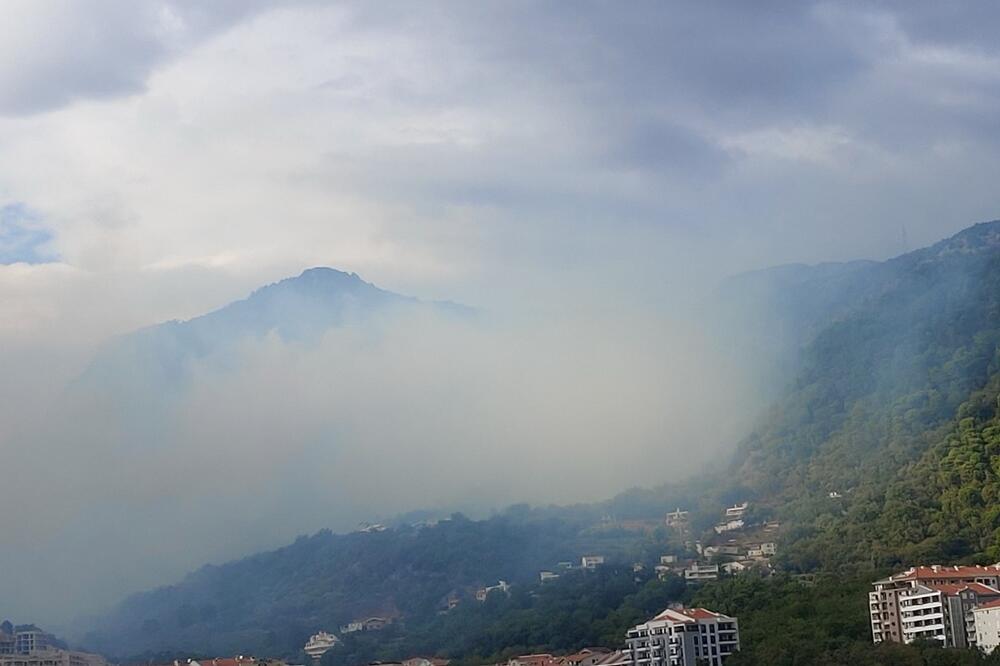 Foto: Privatna arhiva