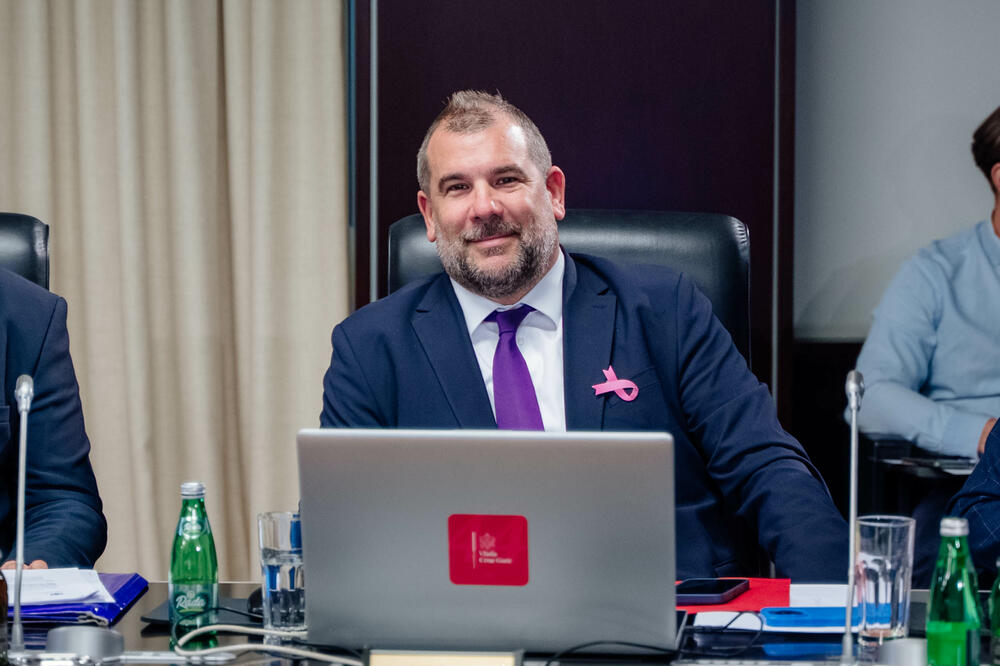 Krapović na sjednici Vlade, Foto: Vlada Crne Gore