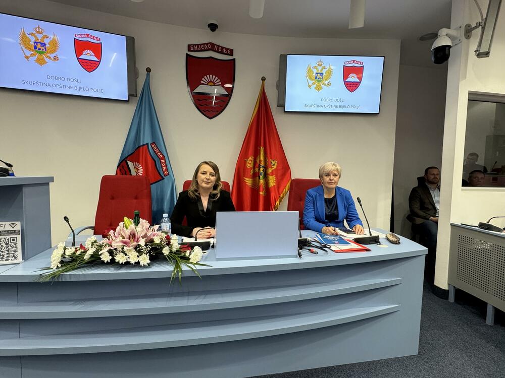 <p>Prije glasanja, skupšitnsku salu su napustili odbornici opozicije, a za inicijativu je glasalo 19 odbornika vladajuće koalicije</p>