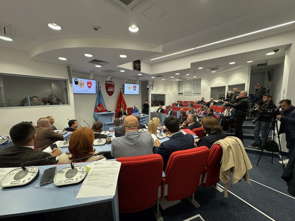 <p>Prije glasanja, skupšitnsku salu su napustili odbornici opozicije, a za inicijativu je glasalo 19 odbornika vladajuće koalicije</p>