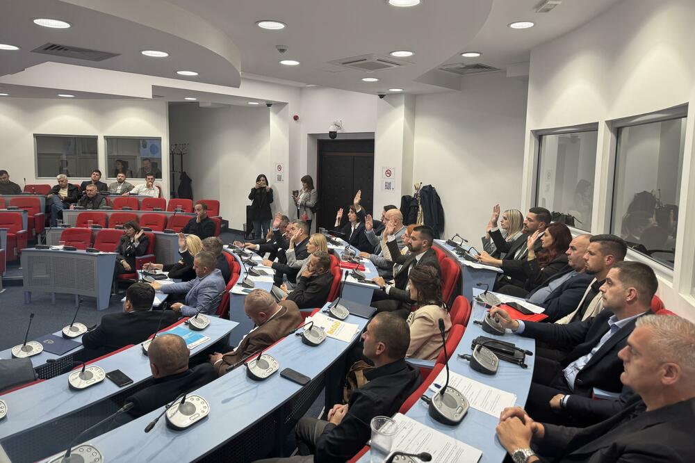 Glasanje na sjednici, Foto: Jadranka Ćetković