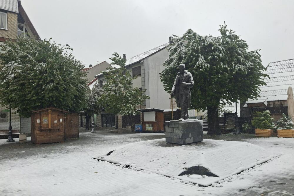 Foto: Dragana Šćepanović