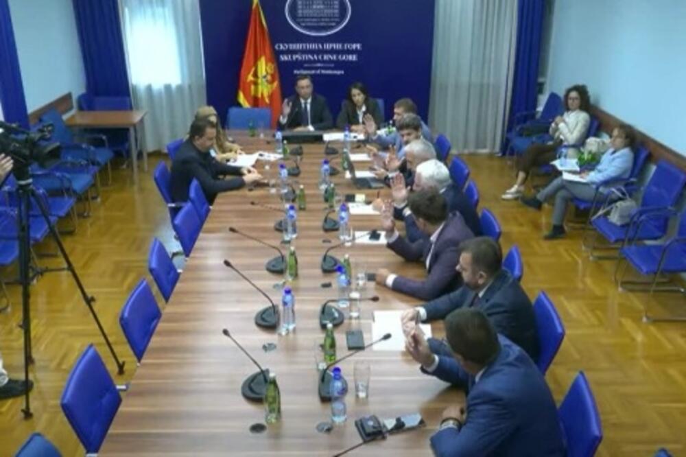 Sa sjednice Odbora za politički sistem, pravosuđe i upravu, Foto: Screenshot/Youtube