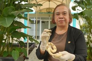 'Kraljica zmija' obećava da će iskoreniti smrtonosne ujede