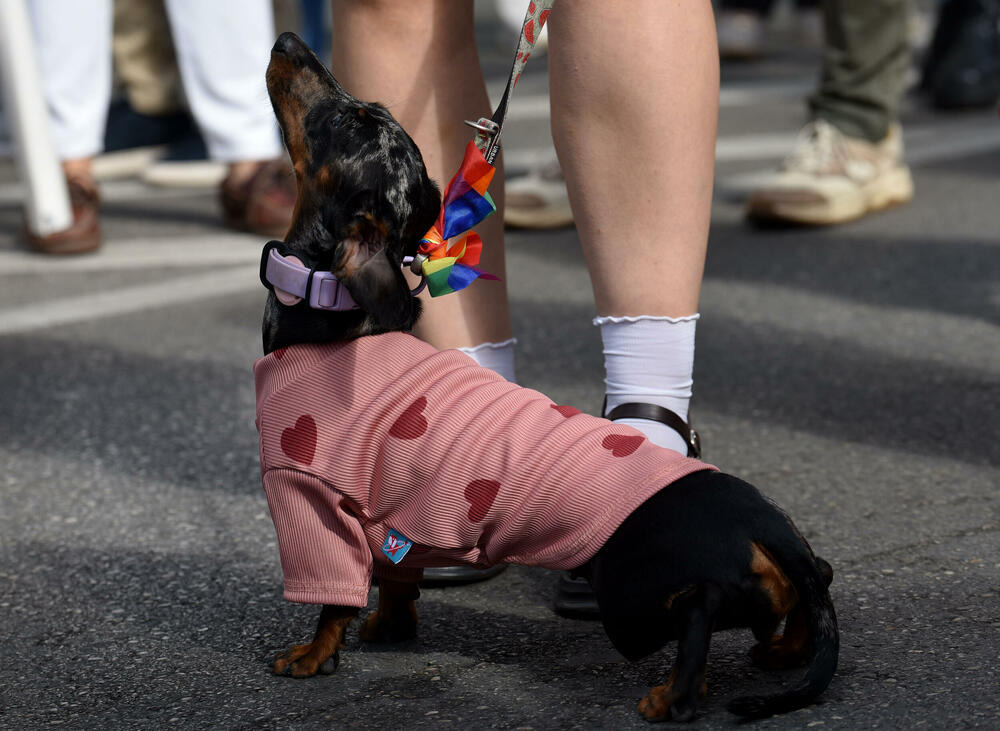 <p>"Sloboda se osvaja i gradi odlučnošću i hrabrošću. Otpor znači da se ne povlačimo pod silom mržnje, već da se borimo za prava koja su naša po rođenju"</p>