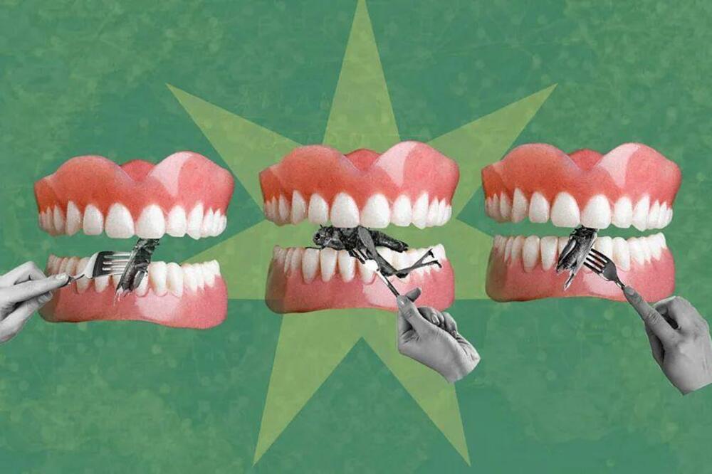 Foto: Serenity Strull / BBC / Getty Images