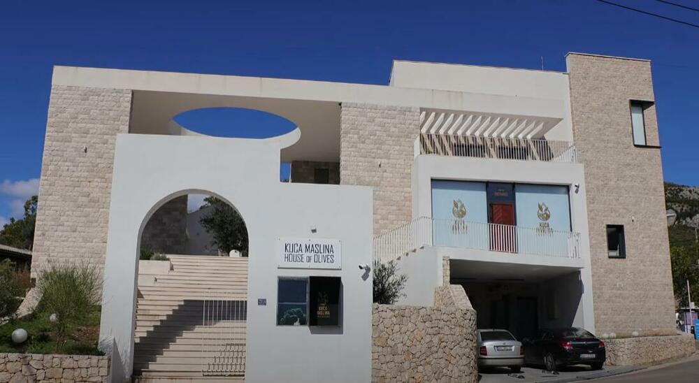 U Kući maslina počela proizvodnja maslinovog ulja po...