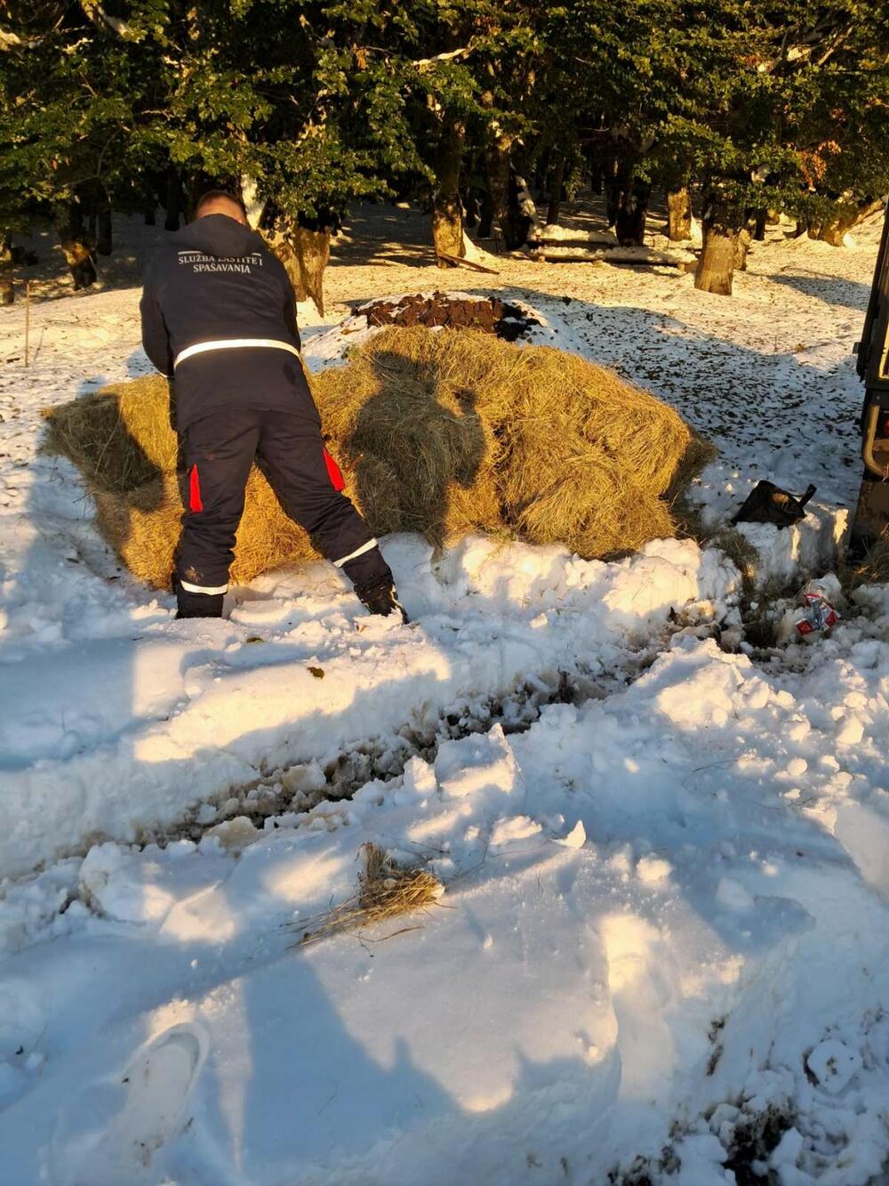 <p>Dostavljene osnovne životne namirnice za normalno funkcionisanje domaćinstva u otežanim zimskim uslovima</p>