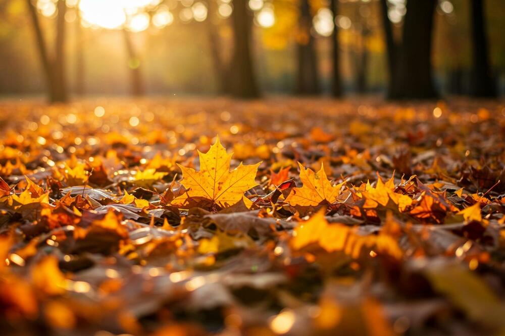 Ilustracija, Foto: Shutterstock