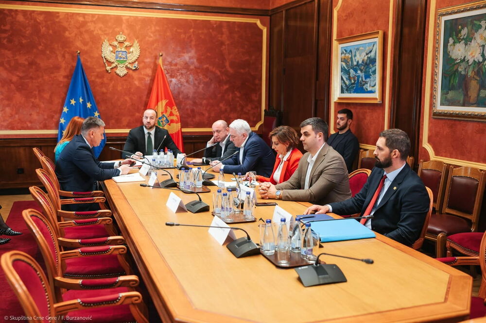 Foto: Skupština Crne Gore/F.Burzanović