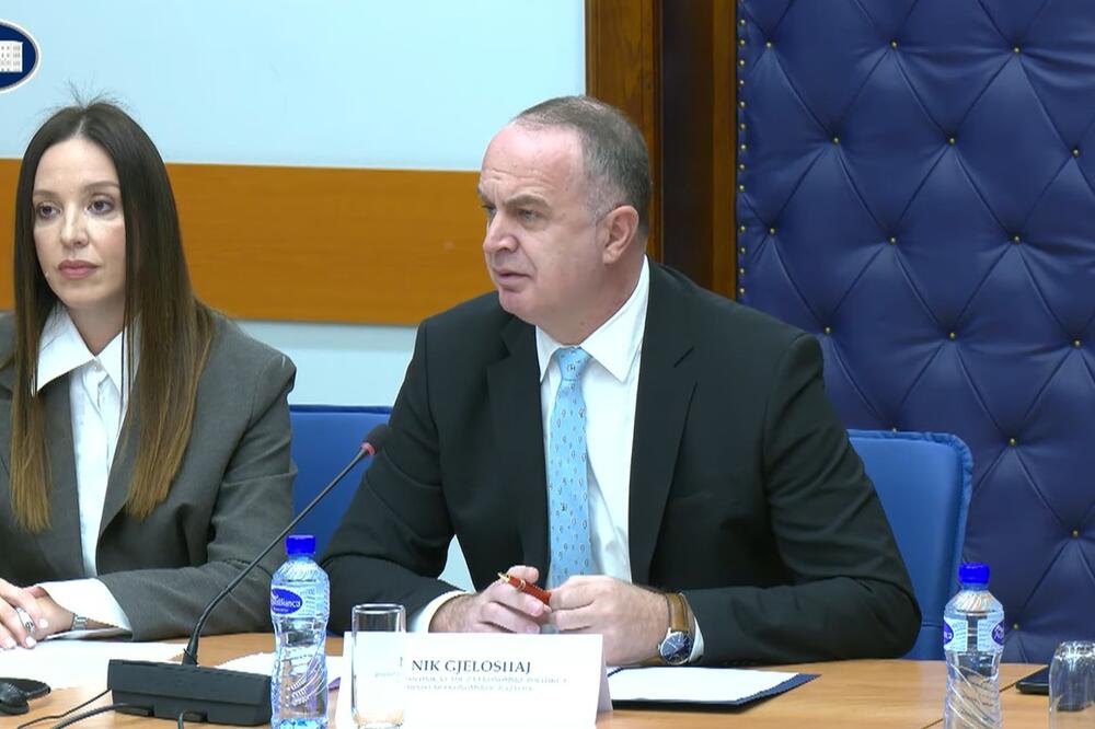 Nik Đeljošaj na sjednici Odbora za ekonomiju, Foto: Screenshot/Skupština Crne Gore