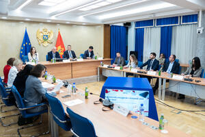 Šahmanović: NEKP ključni dokument koji povezuje klimatske i...