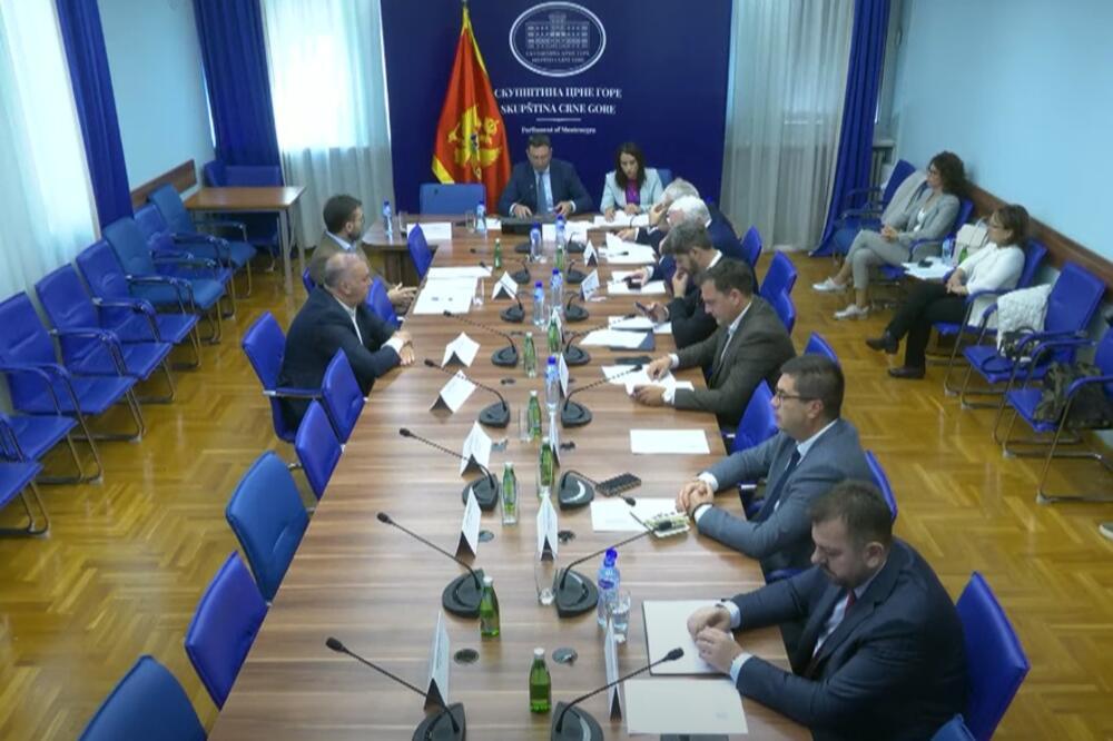 Foto: Skupština Crne Gore/Youtube