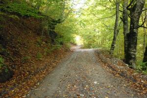 Radovi odloženi žalbama Bemaxa