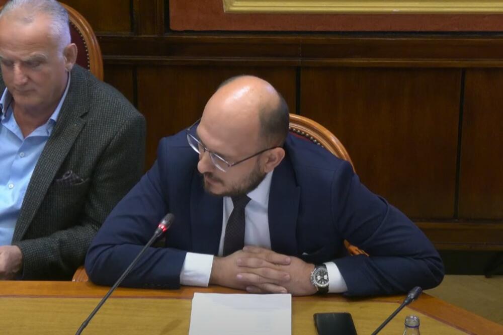 Adrović na sjednici Ustavnog odbora, Foto: Skupština Crne Gore/Youtube