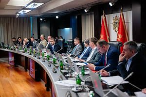 Profesionalci u upravi, privatizacija ako nema javnog interesa