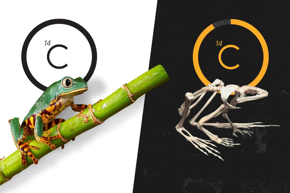 Ilustracija, Foto: Getty Images/BBC