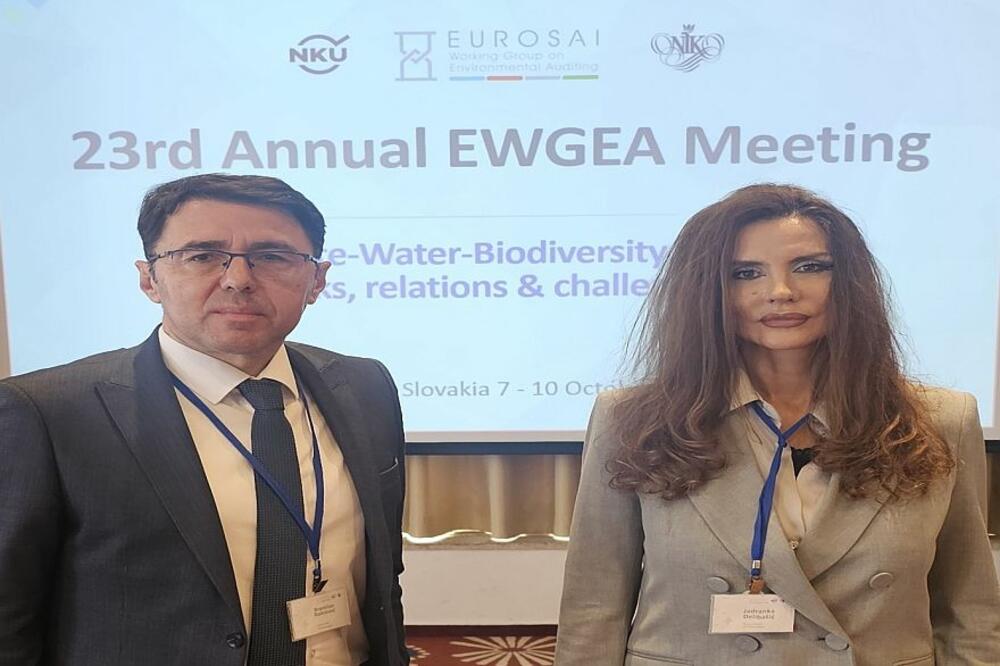 Radulović i Delibašić, Foto: DRI