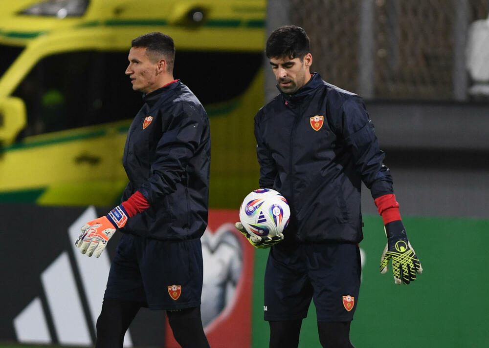 Fudbaleri Crne Gore, Danijel Petković, Igor Nikić