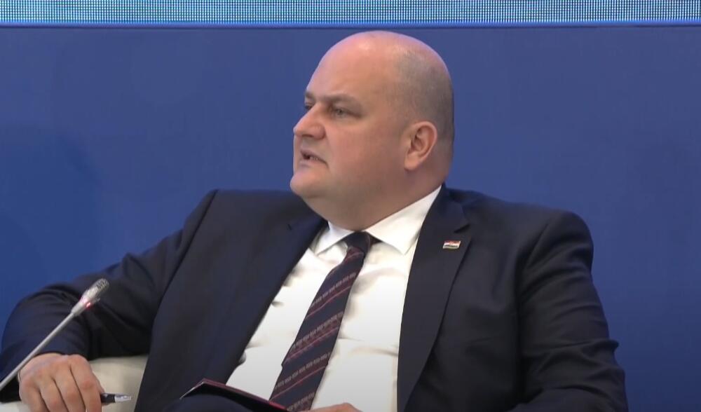 Šušnjar: Hrvatska je spremna da kupi Naftnu industriju Srbije ako...