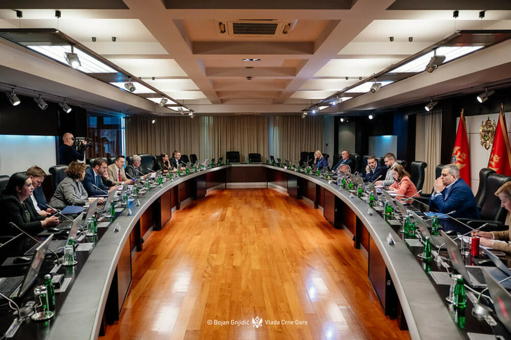 Savjet za privatizaciju: Stručni konsultant da dostavi analizu dva...