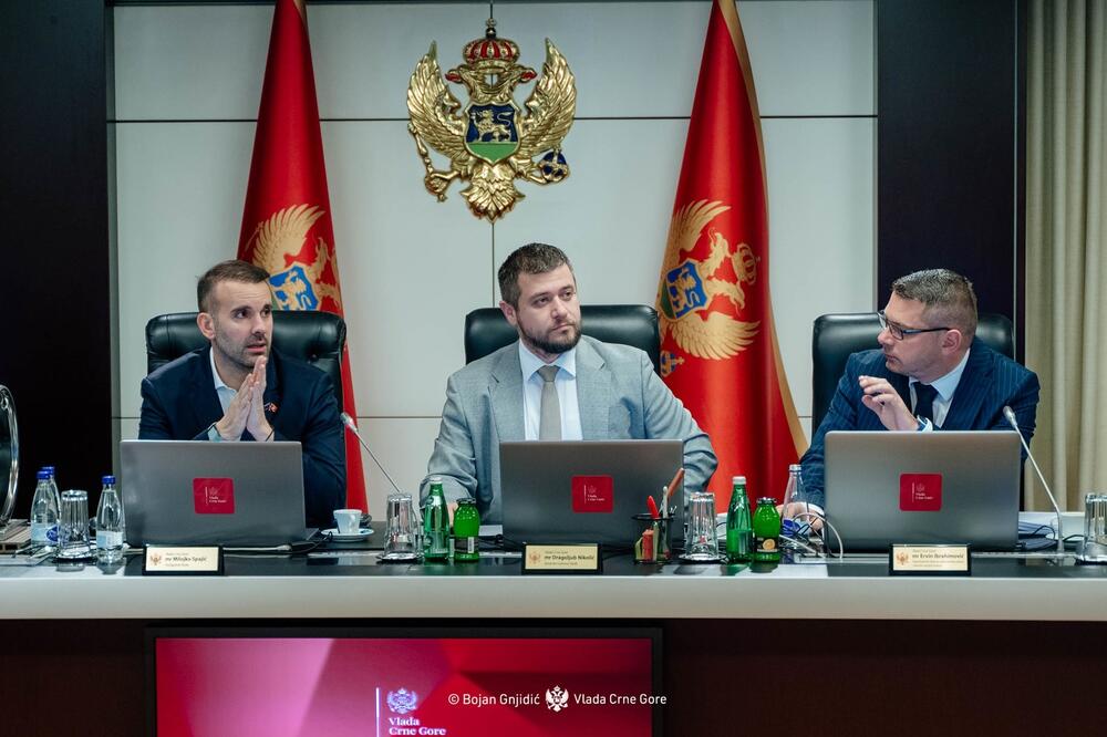 Do kraja sljedeće godine potrebno u potpunosti  harmonizovati viznu politiku Crne Gore sa EU: Vlada, Foto: Bojan Gnjidić/Vlada