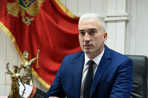 Radulović: Na mene se pritisak ne može izvršiti