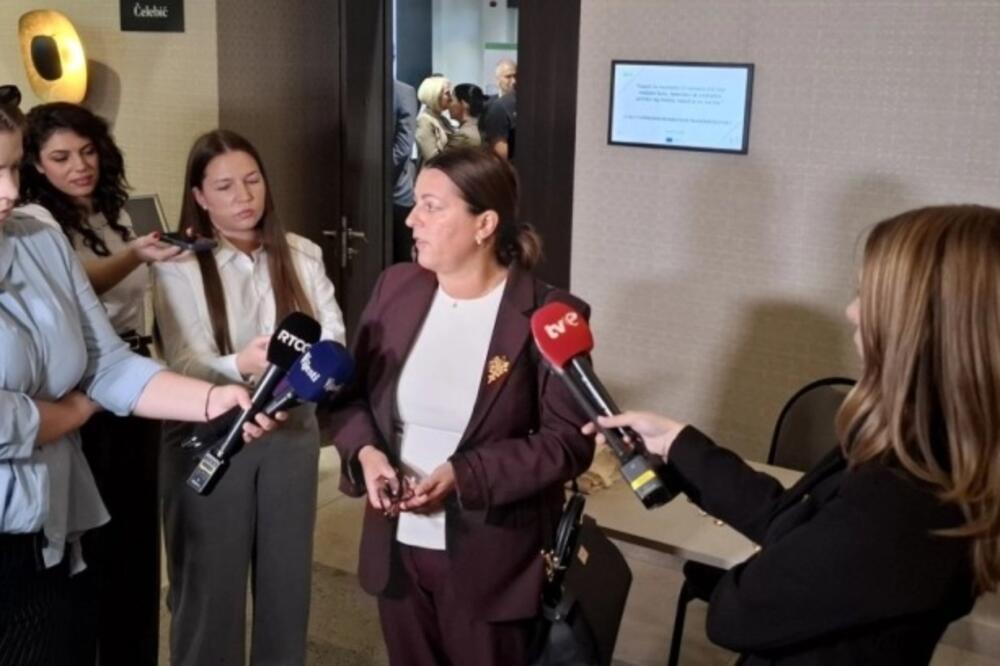 Vujović daje izjavu novinarima, Foto: MINA