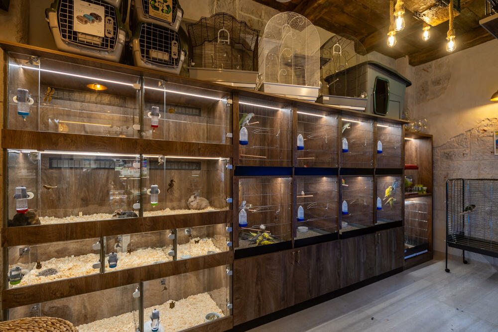 <p>Pet shop "101 Dalmatinac", dio kompanije Čamdzić 011 koja postoji više od 15 godina, jedan je od vodećih distributera hrane i opreme za kućne ljubimce u Crnoj Gori.</p>