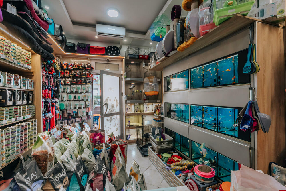 <p>Pet shop "101 Dalmatinac", dio kompanije Čamdzić 011 koja postoji više od 15 godina, jedan je od vodećih distributera hrane i opreme za kućne ljubimce u Crnoj Gori.</p>