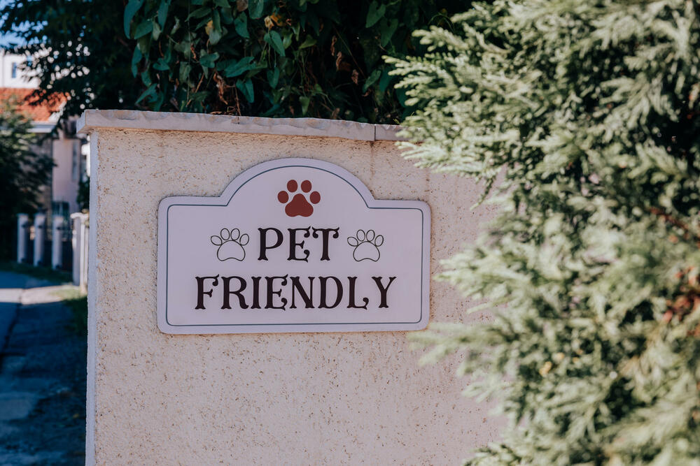 <p>Pet shop "101 Dalmatinac", dio kompanije Čamdzić 011 koja postoji više od 15 godina, jedan je od vodećih distributera hrane i opreme za kućne ljubimce u Crnoj Gori.</p>