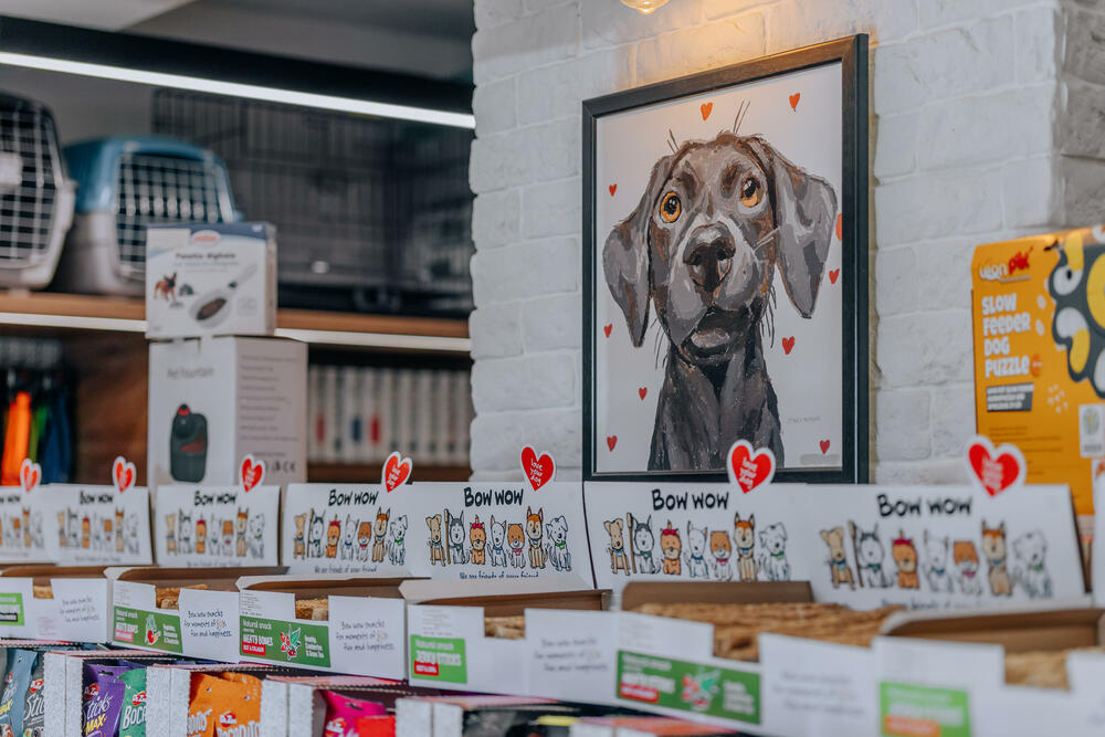 <p>Pet shop "101 Dalmatinac", dio kompanije Čamdzić 011 koja postoji više od 15 godina, jedan je od vodećih distributera hrane i opreme za kućne ljubimce u Crnoj Gori.</p>