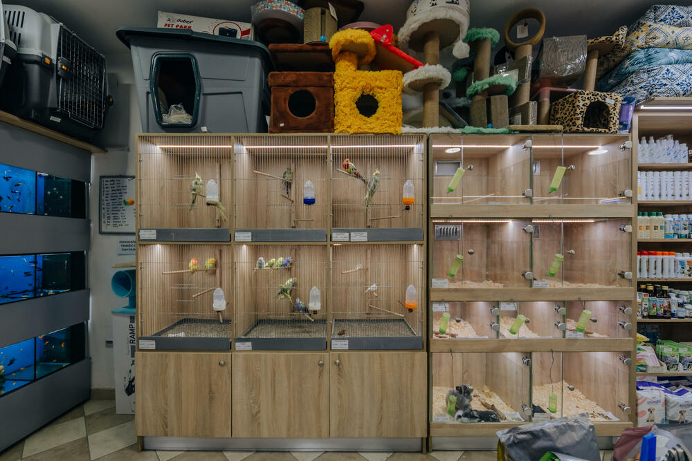 <p>Pet shop "101 Dalmatinac", dio kompanije Čamdzić 011 koja postoji više od 15 godina, jedan je od vodećih distributera hrane i opreme za kućne ljubimce u Crnoj Gori.</p>