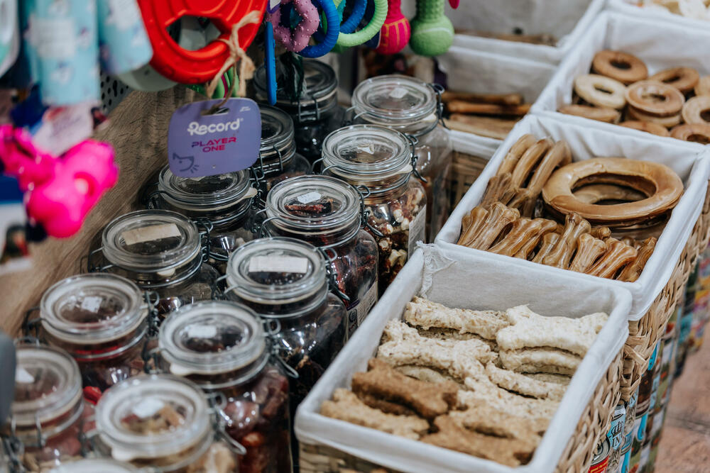 <p>Pet shop "101 Dalmatinac", dio kompanije Čamdzić 011 koja postoji više od 15 godina, jedan je od vodećih distributera hrane i opreme za kućne ljubimce u Crnoj Gori.</p>