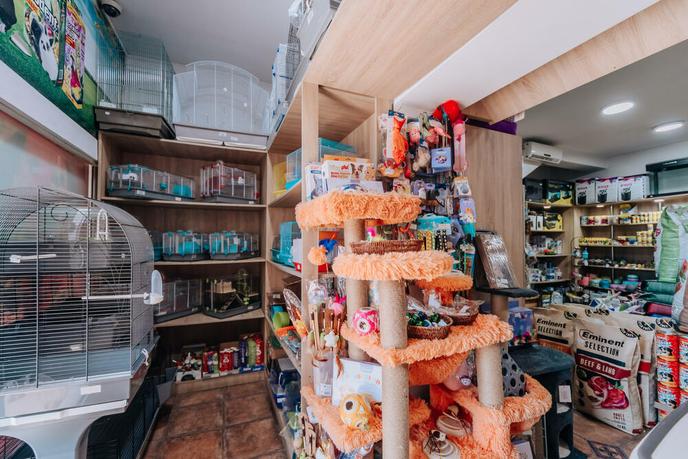 <p>Pet shop "101 Dalmatinac", dio kompanije Čamdzić 011 koja postoji više od 15 godina, jedan je od vodećih distributera hrane i opreme za kućne ljubimce u Crnoj Gori.</p>