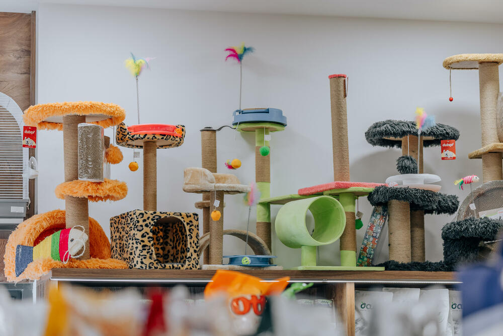 <p>Pet shop "101 Dalmatinac", dio kompanije Čamdzić 011 koja postoji više od 15 godina, jedan je od vodećih distributera hrane i opreme za kućne ljubimce u Crnoj Gori.</p>