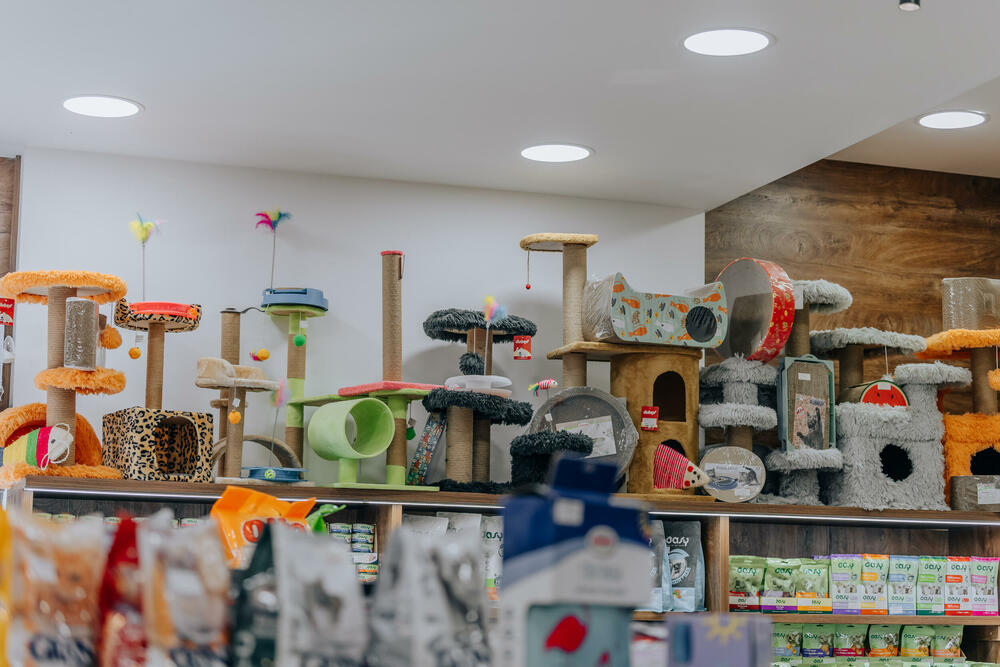 <p>Pet shop "101 Dalmatinac", dio kompanije Čamdzić 011 koja postoji više od 15 godina, jedan je od vodećih distributera hrane i opreme za kućne ljubimce u Crnoj Gori.</p>