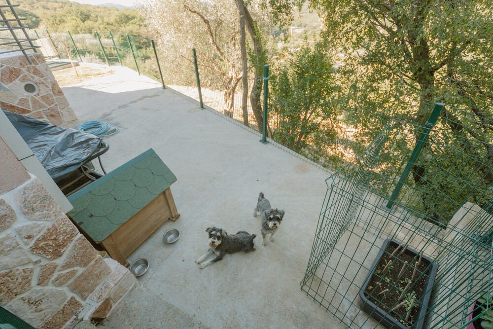 <p>Pet shop "101 Dalmatinac", dio kompanije Čamdzić 011 koja postoji više od 15 godina, jedan je od vodećih distributera hrane i opreme za kućne ljubimce u Crnoj Gori.</p>