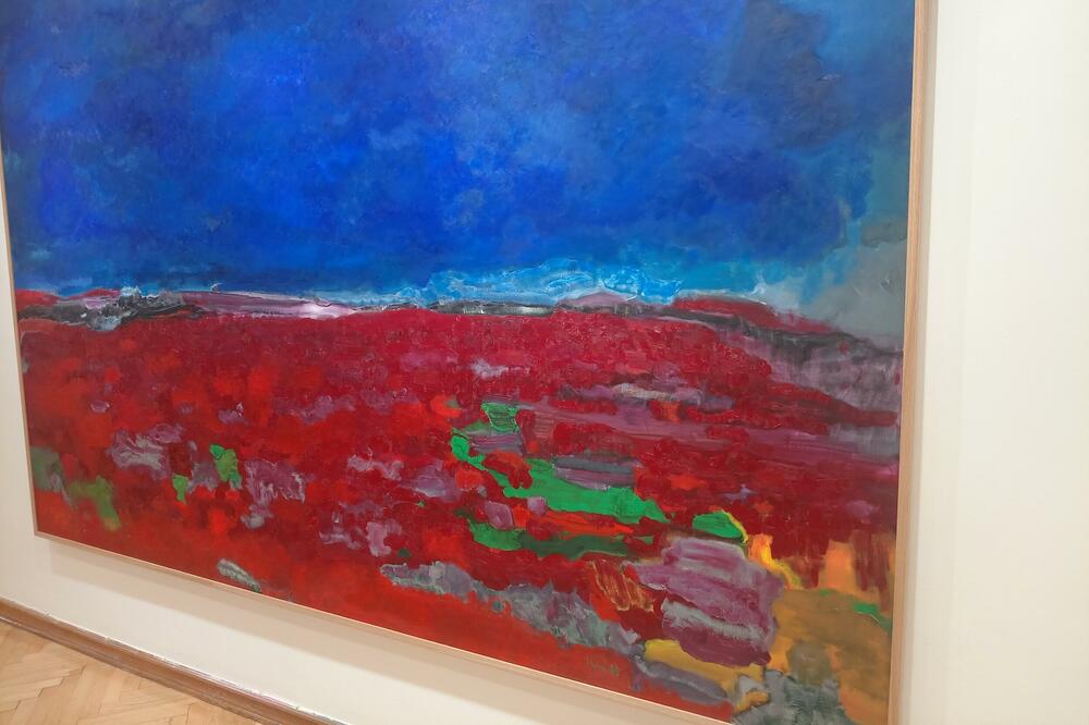 Slika Ivana Pejovića, Foto: Pavle Savović