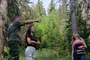 U NP Prokletije se smanjuje brojnost potkornjaka