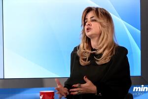 Uljarević: Crna Gora mora odgovornije ka EU, šansa nije garancija,...