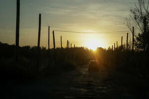 Ruska ofanziva i bijeg civila — šta se dešava u Kupjansku?