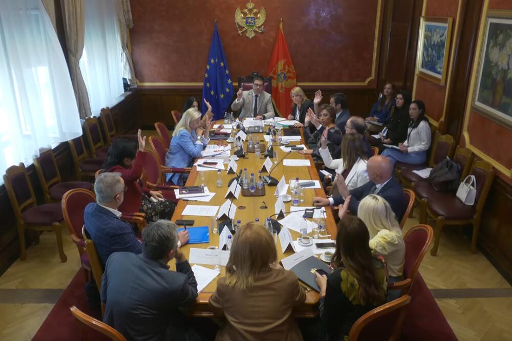 Sa jučerašnje sjednice Odbora, Foto: Printskrin