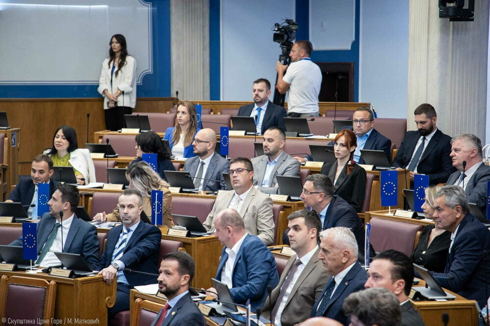 Poslanici će se o kandidatima za sudije Ustavnog suda izjasniti u utorak: detalj s jedne od sjednica parlamenta, Foto: Skupstina