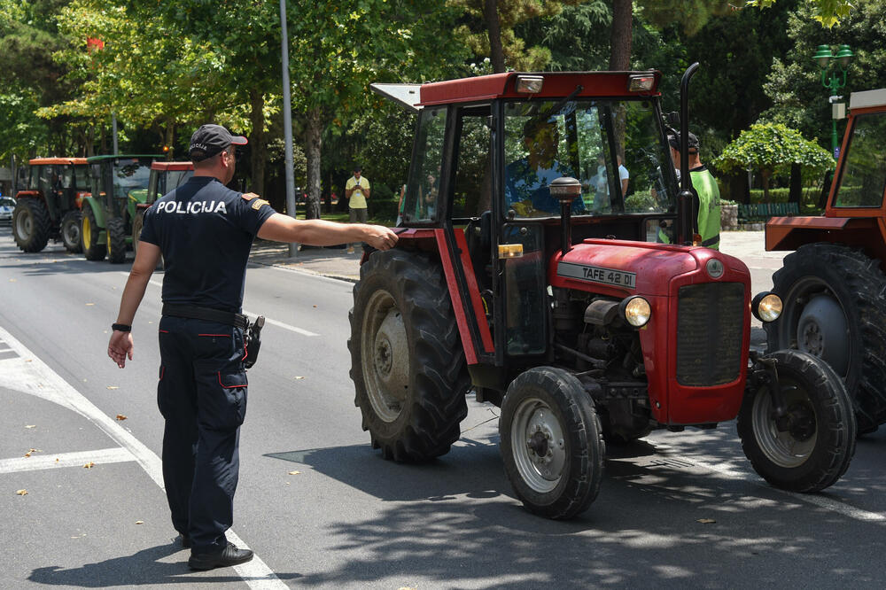 Ponovo će pred Vladu, sa protesta prije četiri godine, Foto: SAVO PRELEVIC