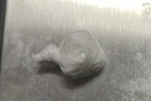 Budvanin će prekršajno odgovarati zbog kokaina