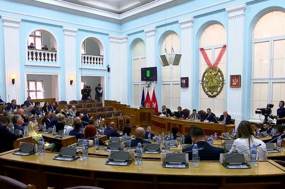 Foto: Skupština Crne Gore/Youtube