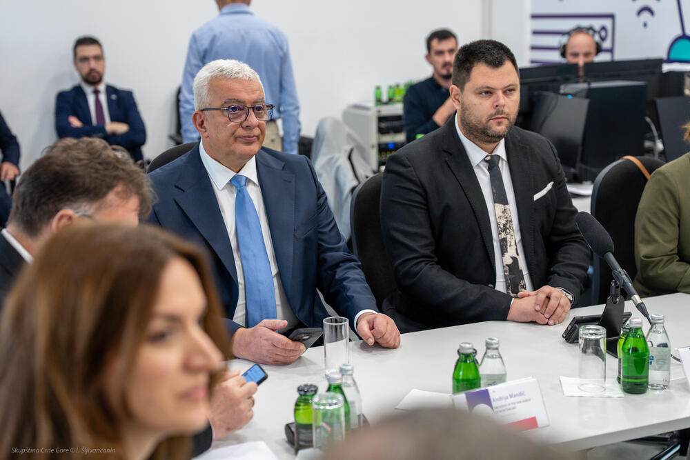 Mandić: Nikšić u borbi za titulu Evropske prijestonice kulture ima...